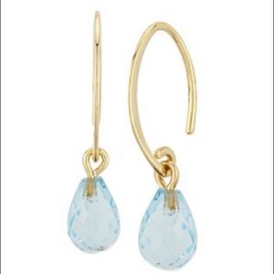 Gemstone Drop Earring-14k Yellow Gold & Blue Topaz